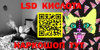 бошки Камышлов