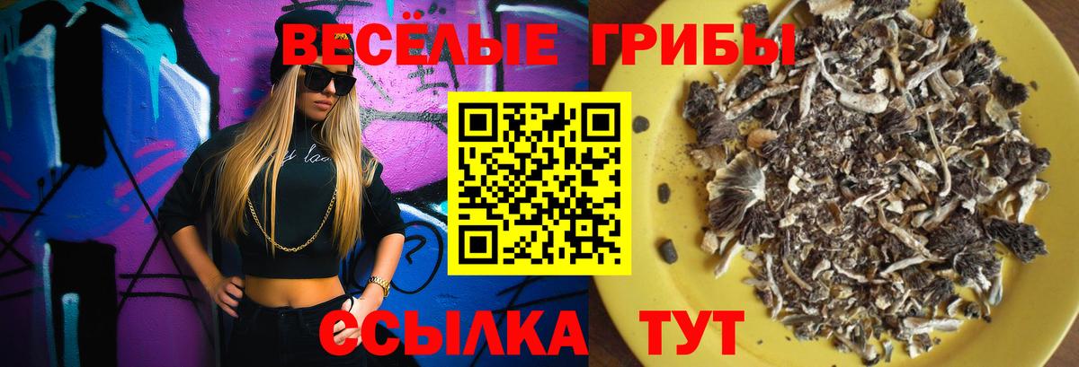 Галлюциногенные грибы мицелий Прокопьевск