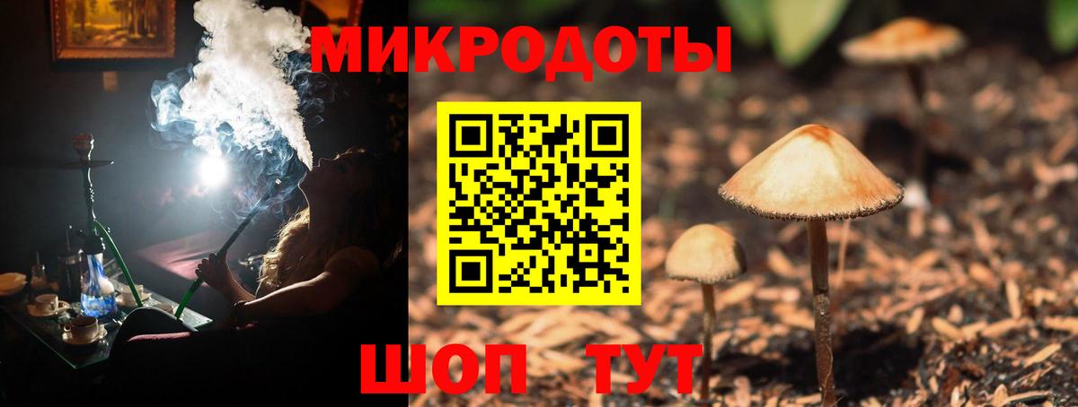 Прокопьевск  Галлюциногенные грибы Cubensis  Вход с VPN  Псилоцибиновые грибы MAGIC MUSHROOMS 